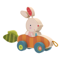 Thumbnail for Bunny Pippa Push and Pull Toy product image